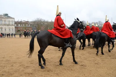 DSC_5604 (Large).JPG